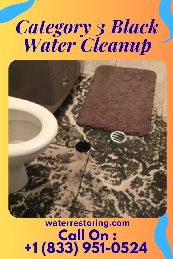 Category 3 Black Water Cleanup in Mattapoisett Center, MA