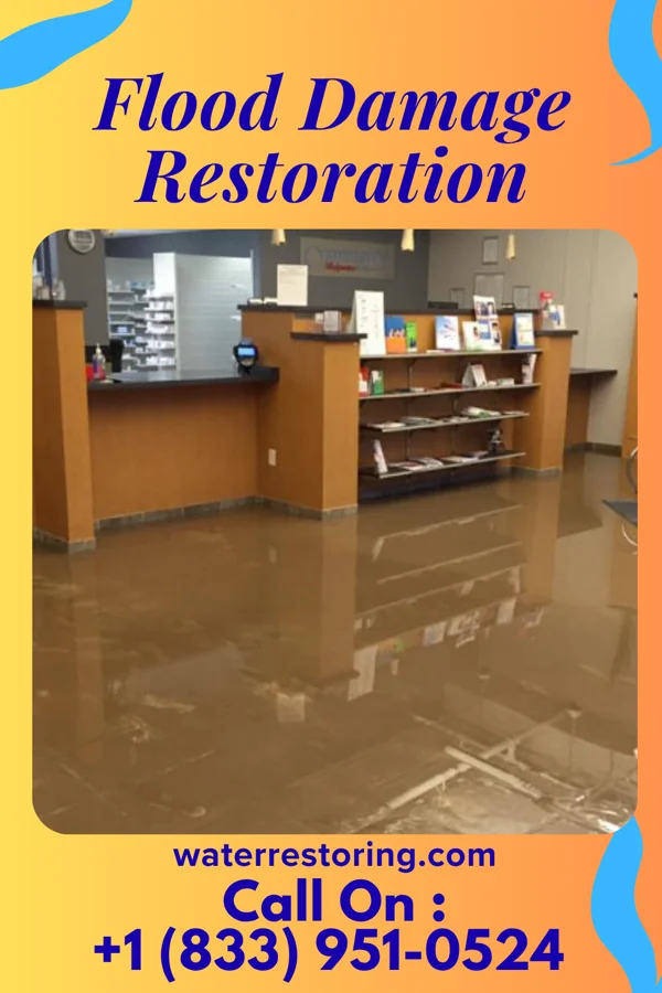 Flood Damage Restoration in Mattapoisett Center, MA