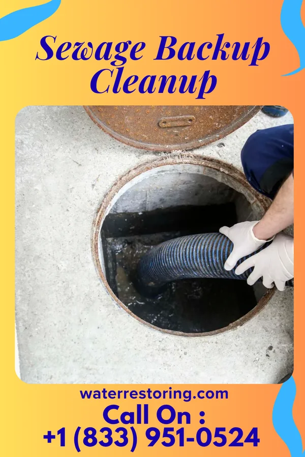 Sewage Backup Cleanup in Mattapoisett Center, MA