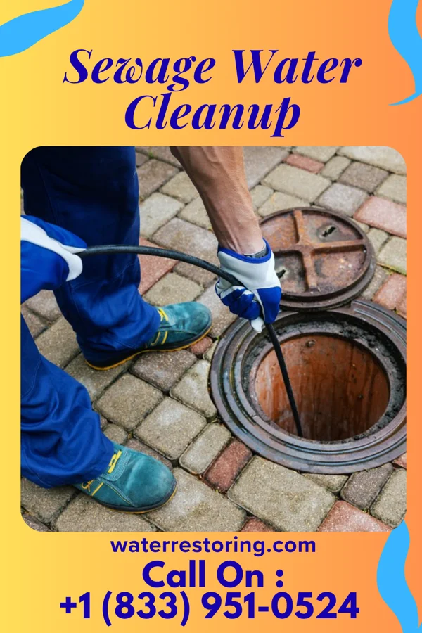 Sewage Water Cleanup in Mattapoisett Center, MA